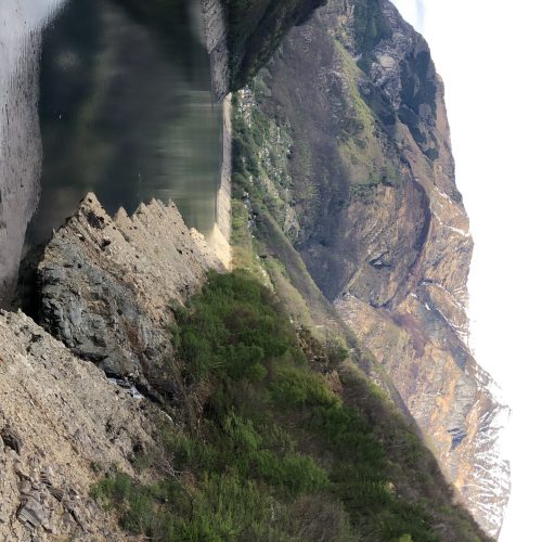 A51EAA5D-AF1D-42C6-9188-80CC1041A007