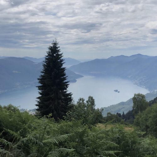 E6352E07-4366-4447-8B9B-950A55DD93D6